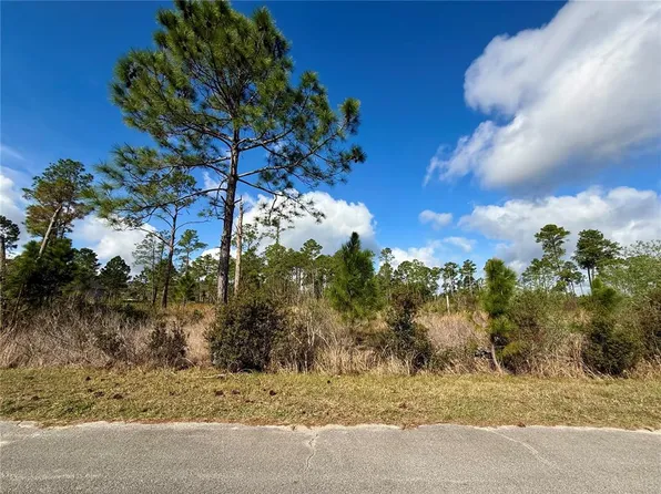 LOT 8 Honeysuckle St Lot 800, Eustis, FL 32736