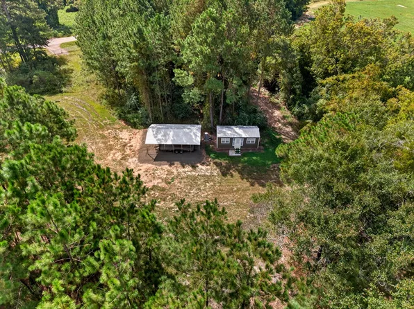 54 Highway 93, Pelham, GA 31779