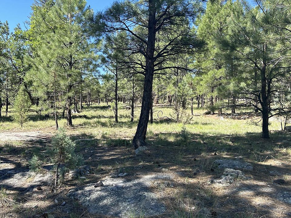 2nd image of 4560 Durango Dr