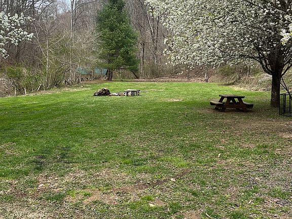 Acre of flat yard area with fire pit.