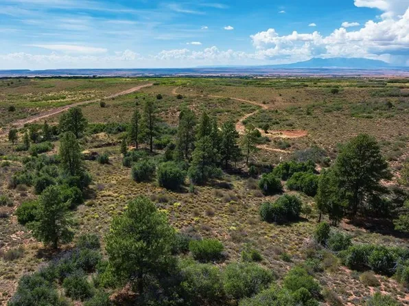 TBD Road 9.4, Dove Creek, CO 81324