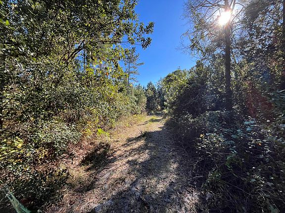 4th image of 223 Mourning Dove Road