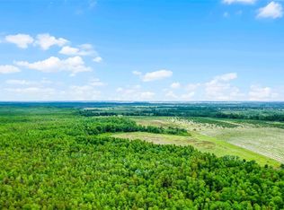 S Boggy Marsh Rd, Clermont, FL 34714