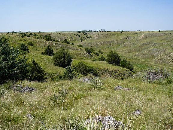 2nd image of 0 Highway 25