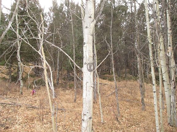 4th image of 471 Horseshoe Trl
