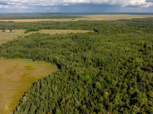 S Boy Lake Dr NE, Remer, MN 56672