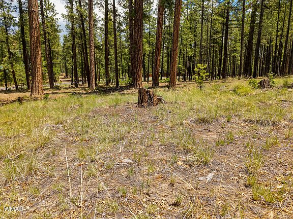 4th image of 98 County Road 2266