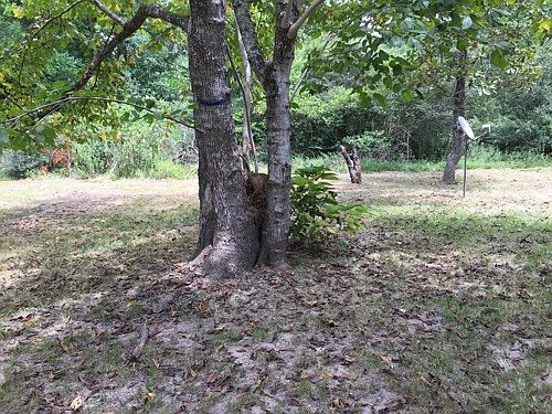 5th image of 6502 Buchanan Dr