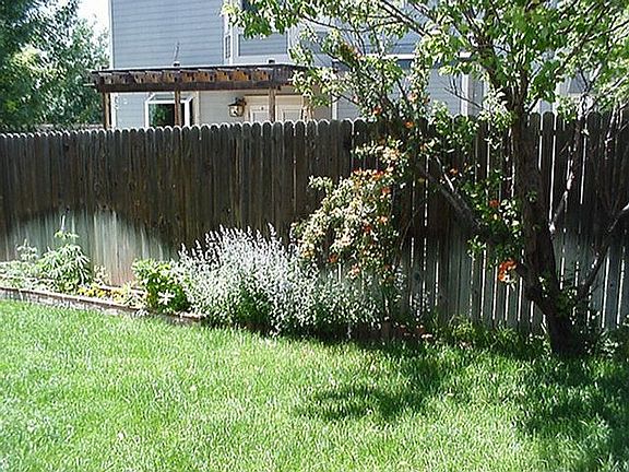 IMMACULATE BACK YARD WITH FLOWERS (VIEW 2)