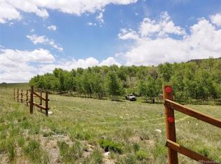 810 Stacker Dr, Hartsel, CO 80449