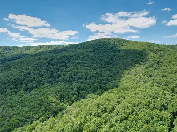 Tbd Pleasant View Rd, Austinville, VA 24312