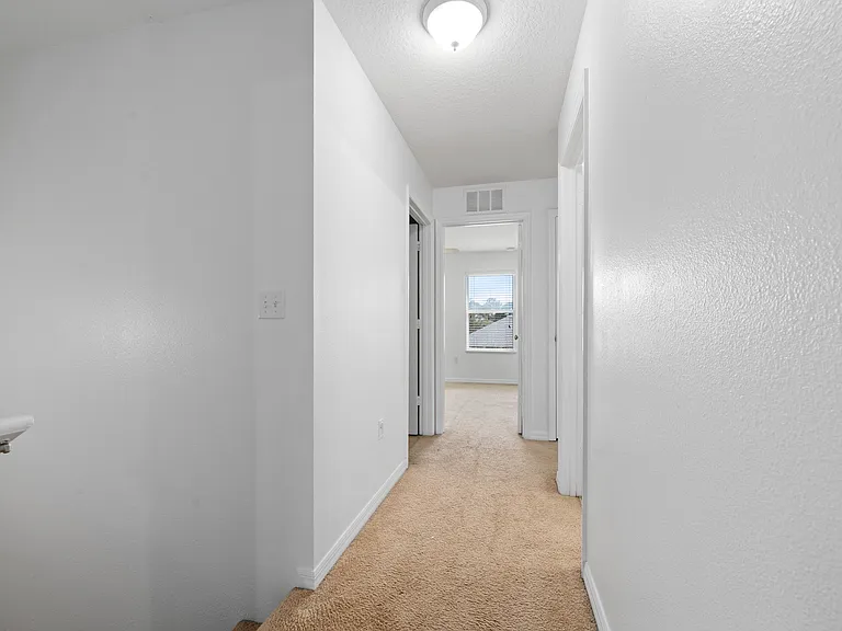 1704 Buckeye Falls Way #1704 — Photo 17