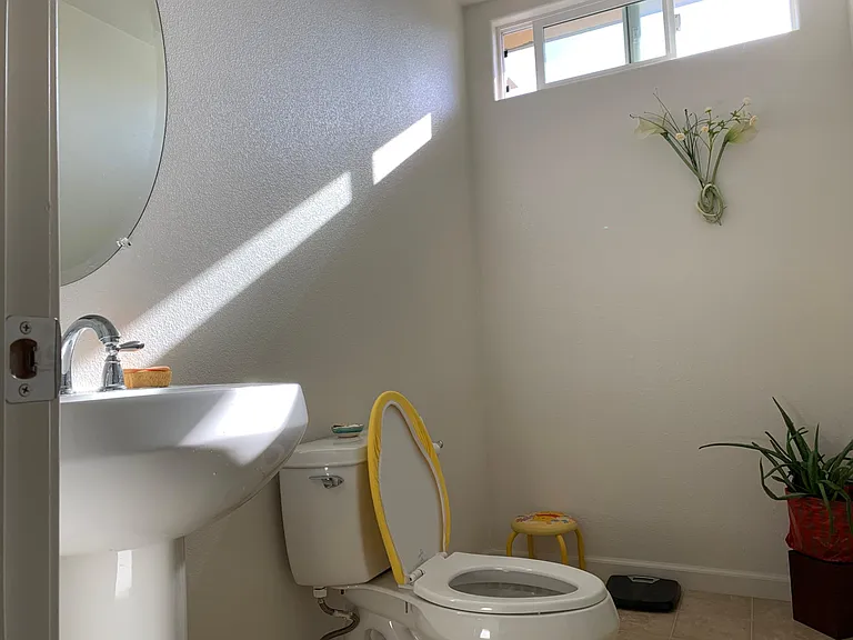 49071 Pampas Grass Ter — Photo 11