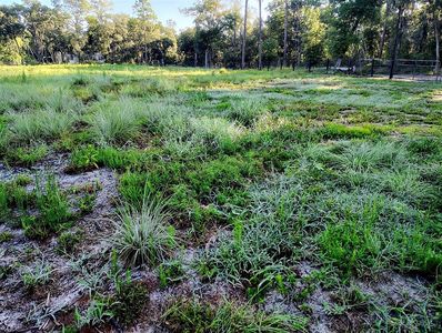 0 SW 153rd Ln, Dunnellon, FL, 34432
