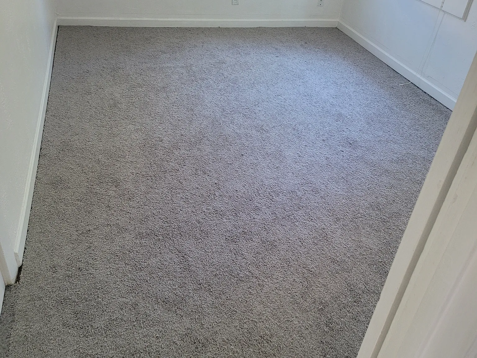 2 bed, 1290 sqft, $1,800 — Photo 4
