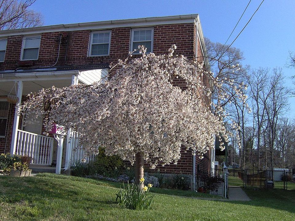 Front of duplex 