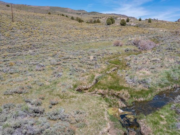 Apn 6 120 40 0 Hwy #395-40, Bridgeport, CA 93517