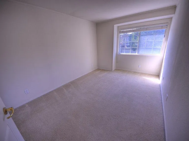 201 Yarborough Ln — Photo 29