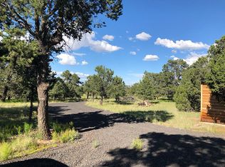 LOT 50 Fountain Hills Spring Cyn, Quemado, NM 87829
