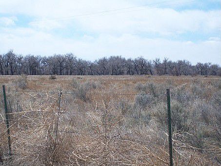 2nd image of 50100 E State Highway 96