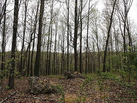 4th image of Rochester Dr