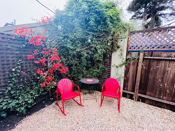 Lush Vines and greenery