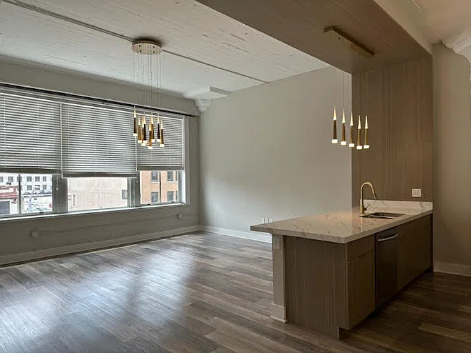 Dine in kitchen and living room