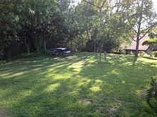 Barbecue areas