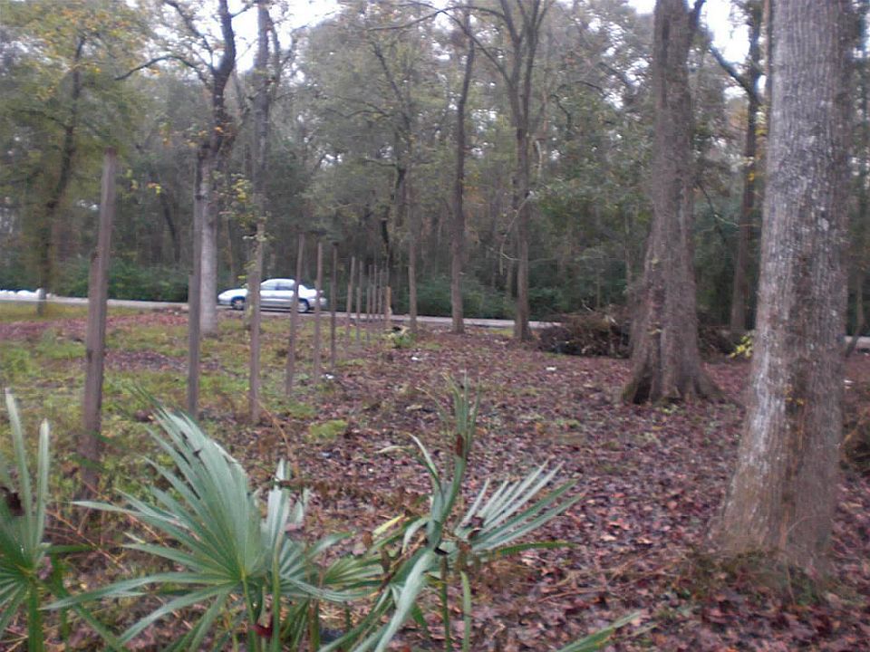 1st image of 13719 Chalkstone Ln