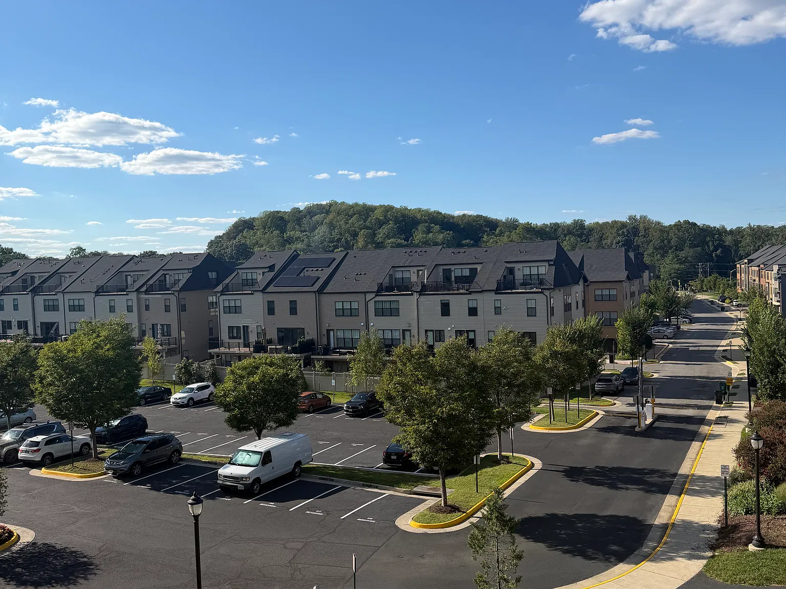 1 bed, 781 sqft, $2,600 — Photo 2