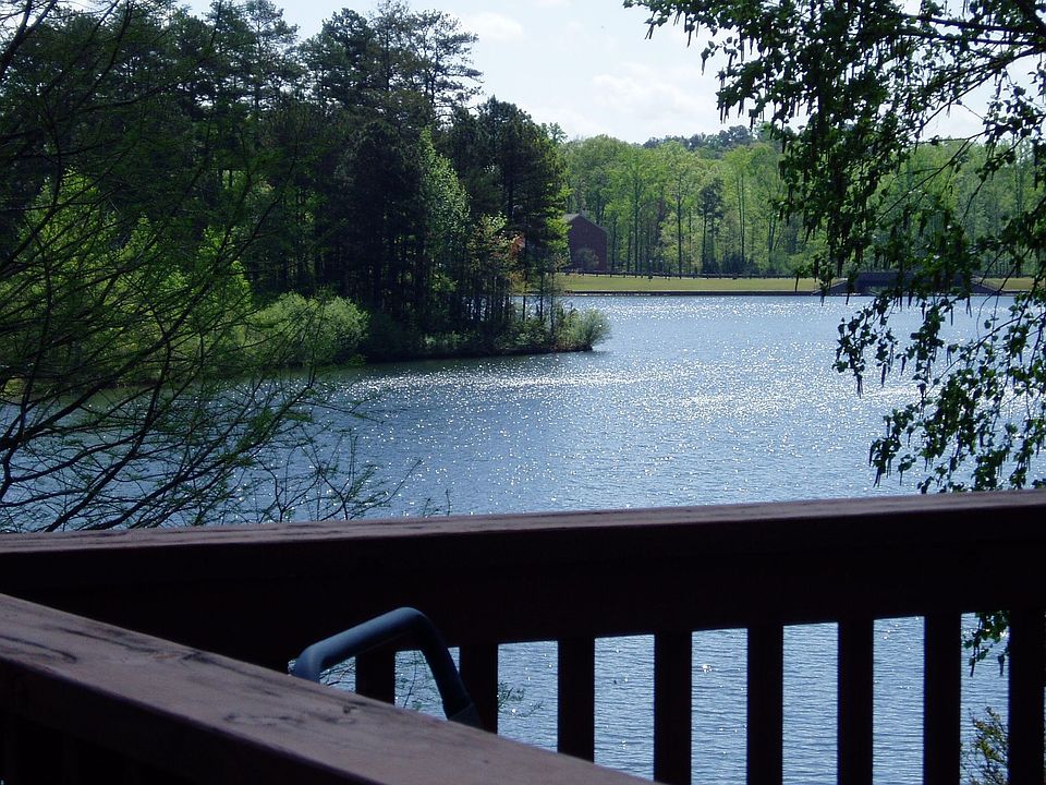 The backyard