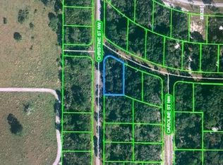 224 Christine St NW, Lake Placid, FL 33852