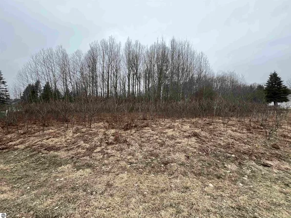 LOT 19 Crestview Dr, Cadillac, MI 49601