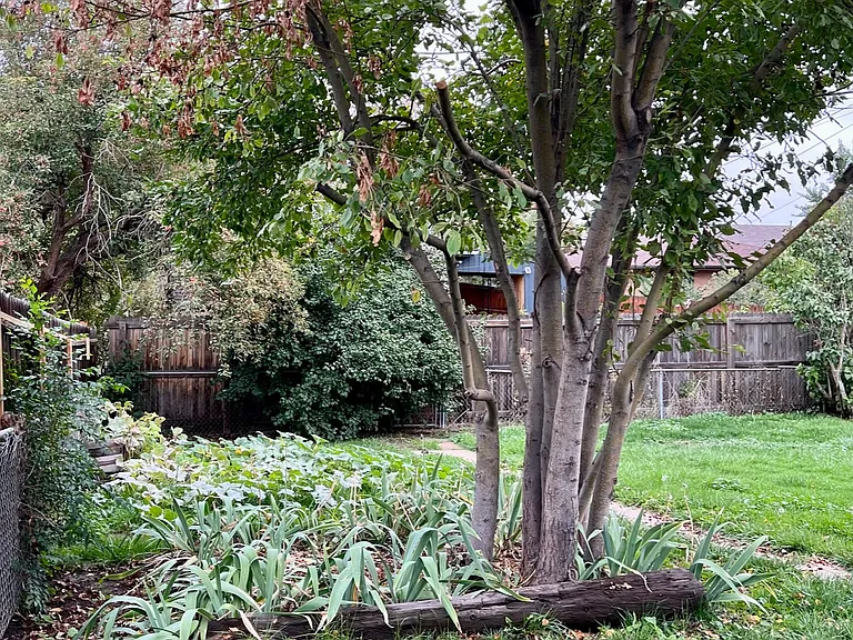 1910 Eaton St — Photo 18