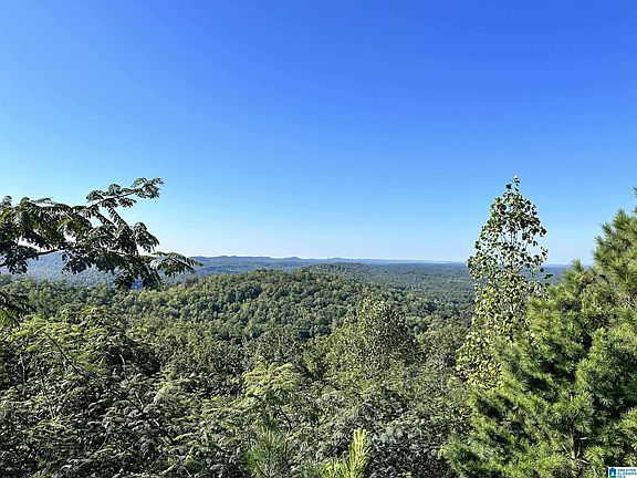 3rd image of 6522 Old Springville Rd #1