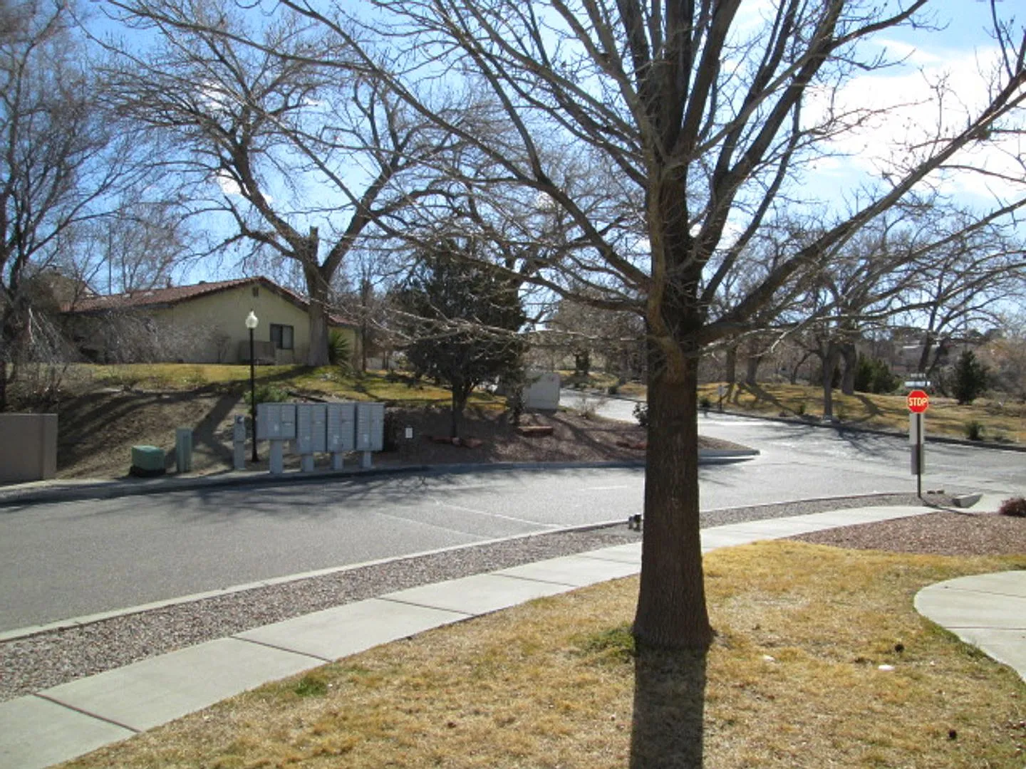 Hidden Valley — Photo 2