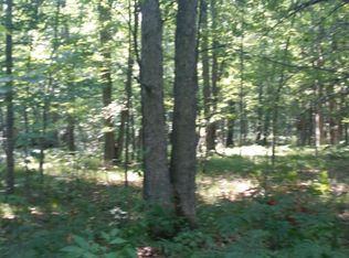 Riverside Dr, Irons, MI 49644