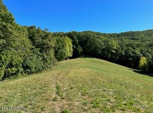 1585 Neddy Mountain Rd, Del Rio, TN 37727
