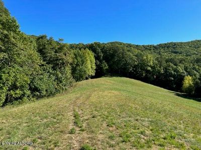 1585 Neddy Mountain Rd, Del Rio, TN, 37727