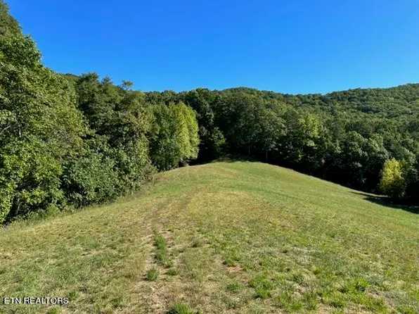 1585 Neddy Mountain Rd, Del Rio, TN 37727