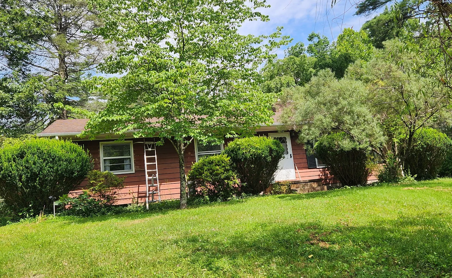 3 bed, 1248 sqft, $975 — Photo 2