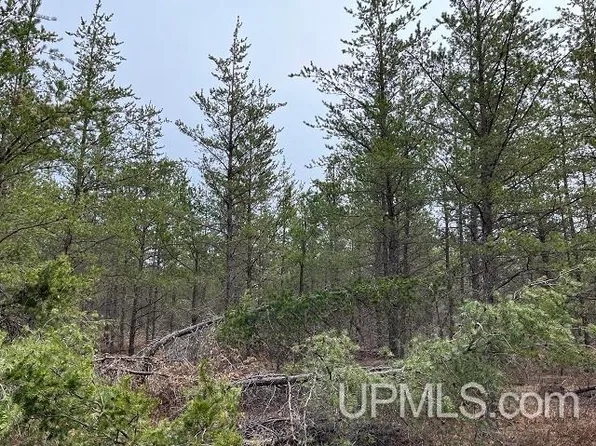 40 Station Rd, Gwinn, MI 49841