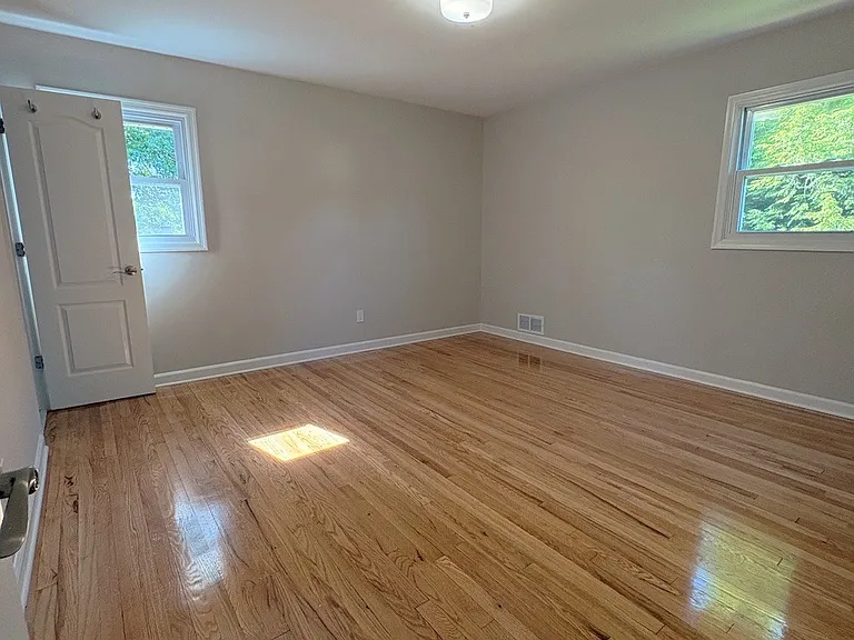 bedroom with a walk-in-closet, perfect for king-sized furniture