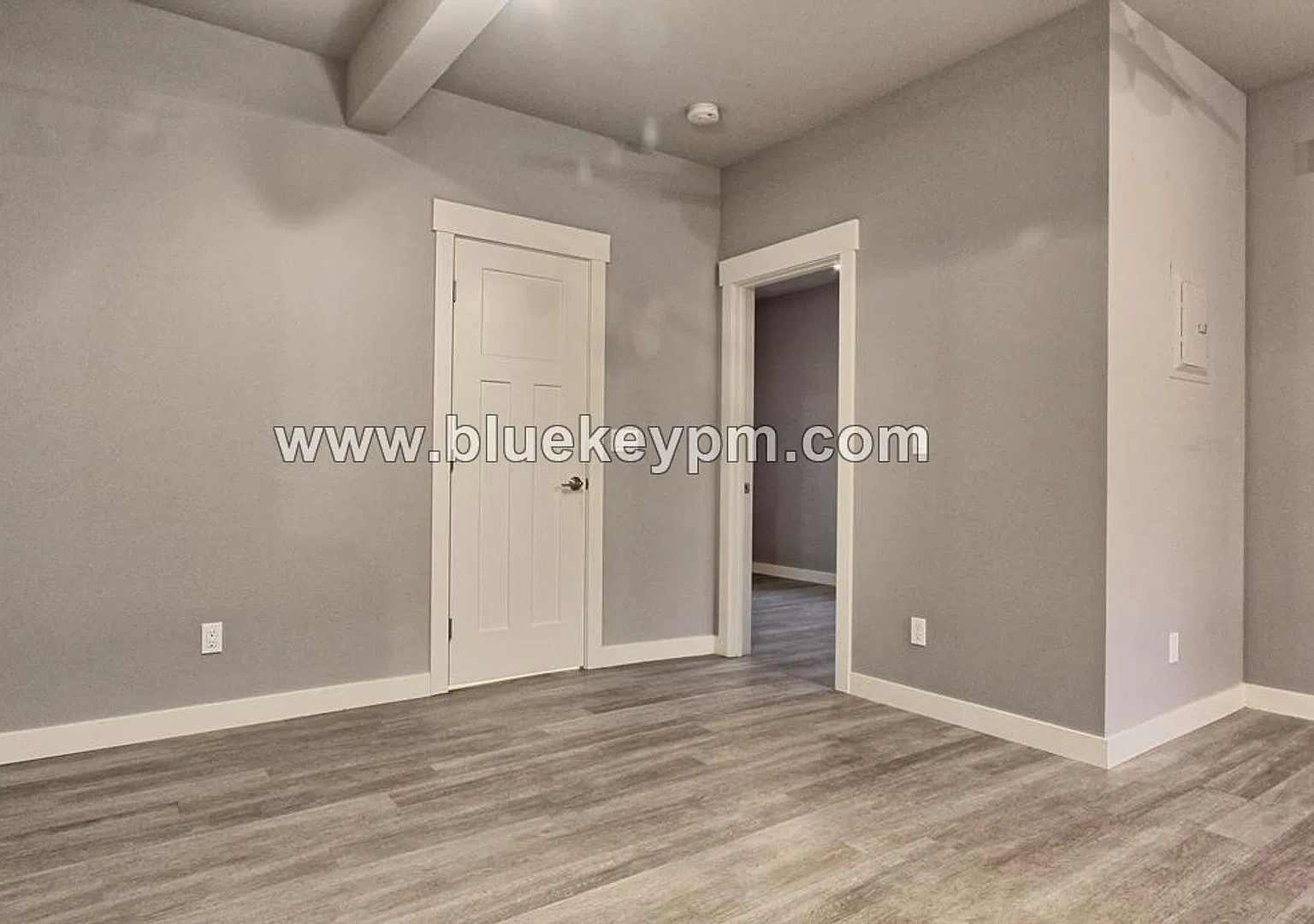 ORYA2422 — Photo 3