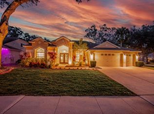 12537 River Birch Dr, Riverview, FL 33569