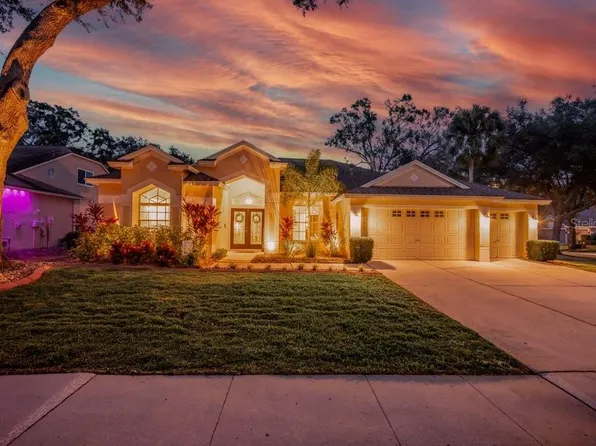 12537 River Birch Dr, Riverview, FL 33569