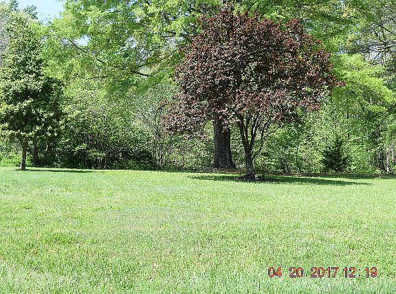 3rd image of 420 Pinecrest Dr