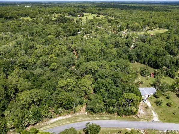1230 S Trellis Dr, Homosassa, FL 34448