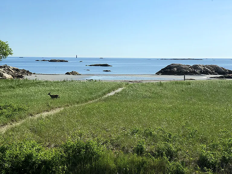 Beautiful Sandy Cove, a large private beach.