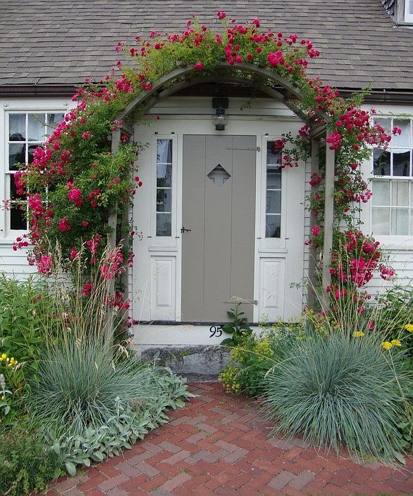 Front Door House1 : Roses over the front door